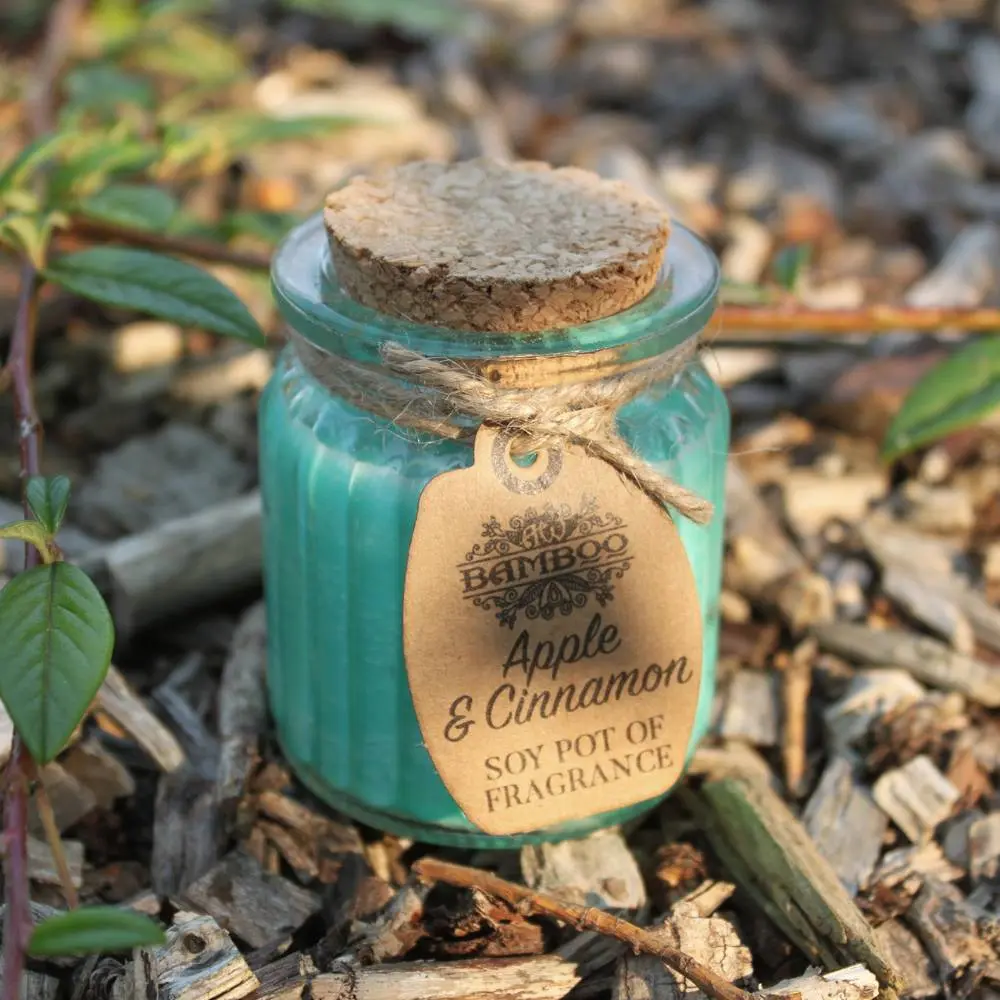 apple and cinnamon candle